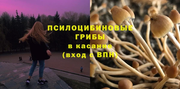 каннабис Арсеньев